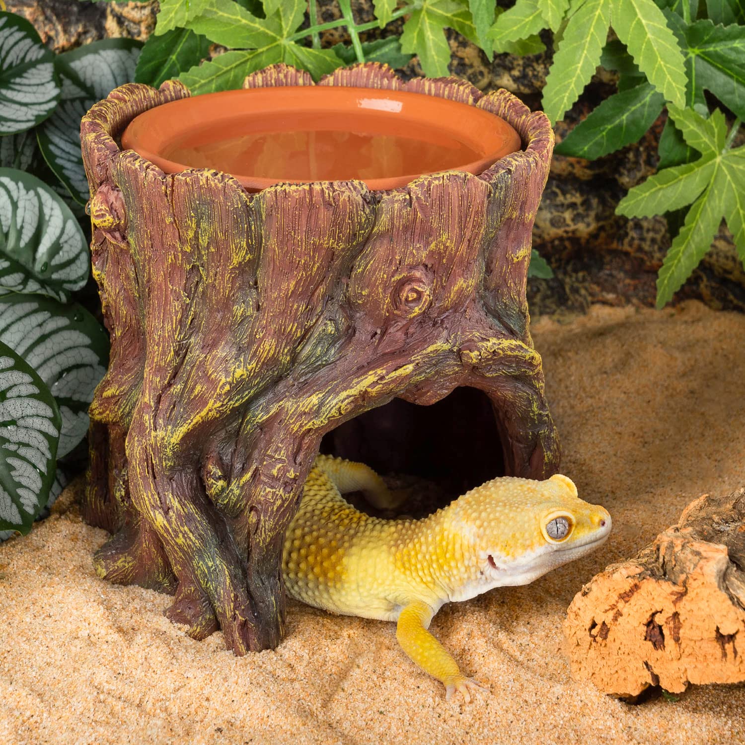 REPTIZOO Humedad controlada ayuda a condiciones estables para el bienestar diario.