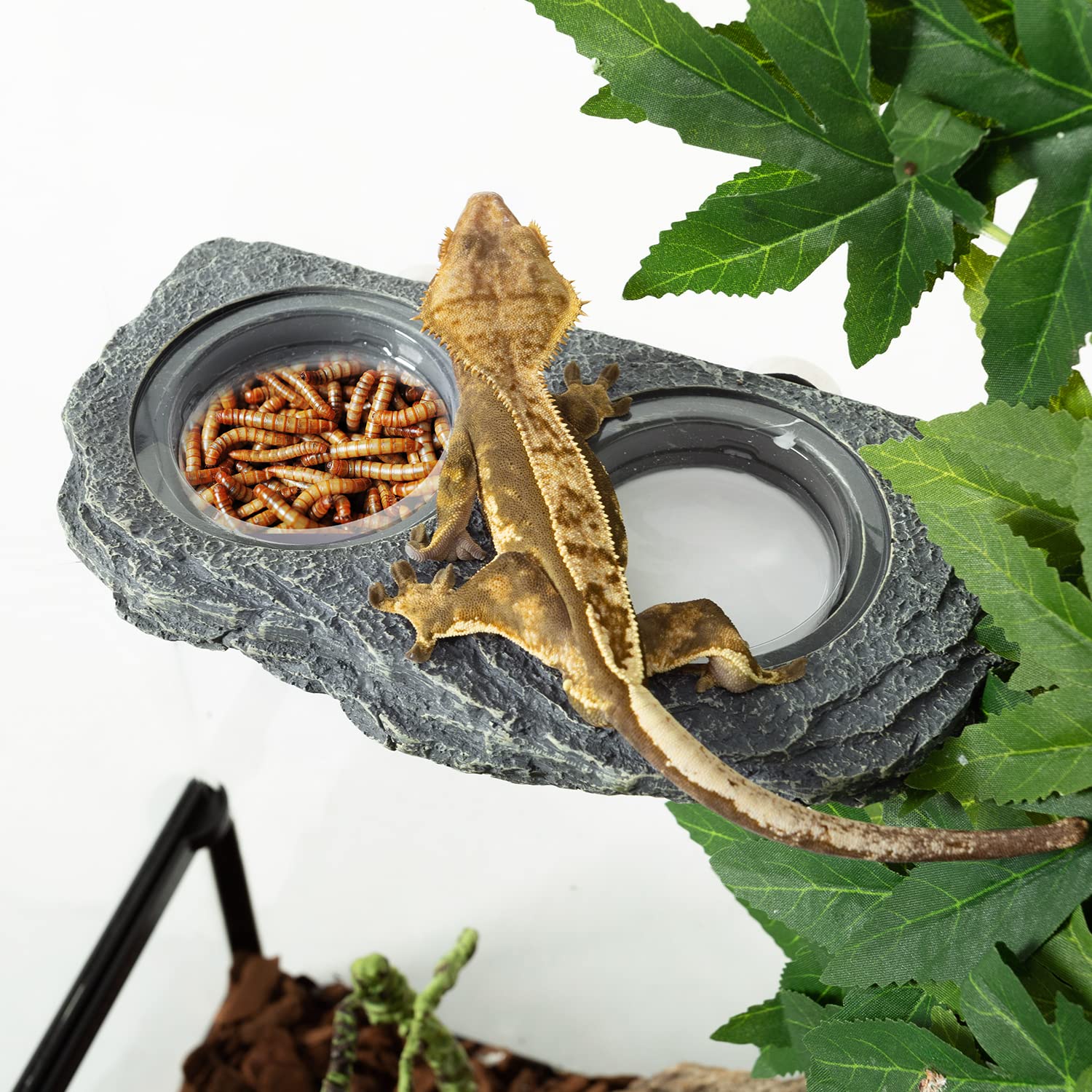 REPTIZOO Ideal para geckos, lagartos y camaleones durante la comida.