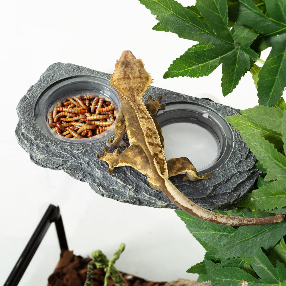 REPTIZOO Ideal para geckos, lagartos y camaleones durante la comida.