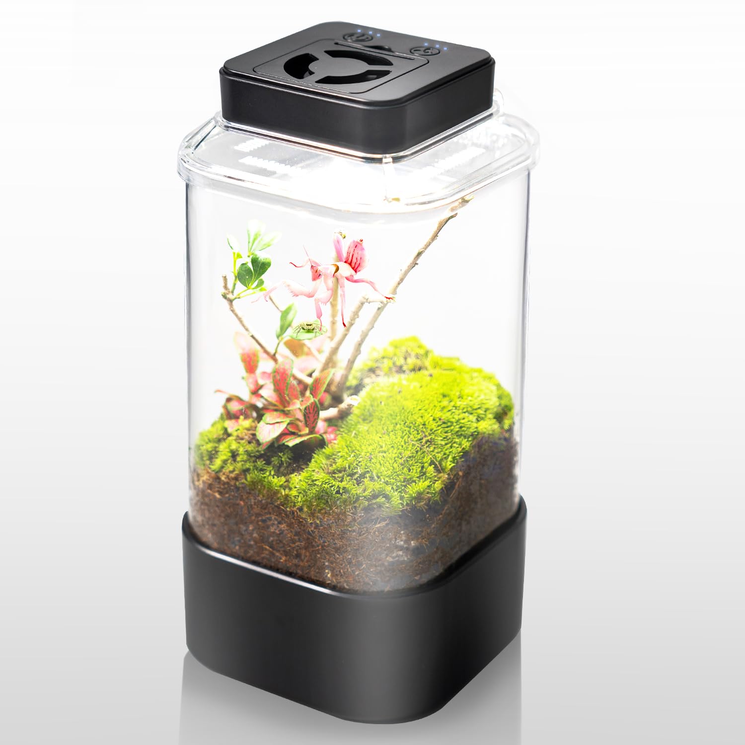 REPTI ZOO Terrario con luz de diodos ajustable para iluminación adecuada