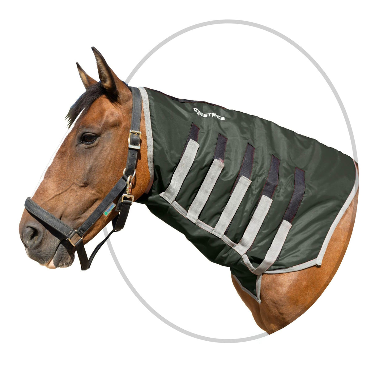 RESISTANCE capucha sin cabeza: protección impermeable para caballos.