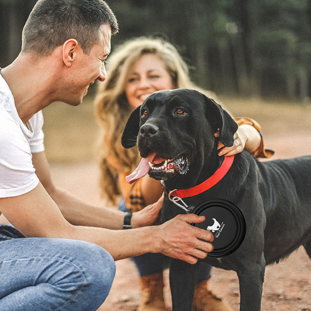 Rest-Eazzzy cuenco plegable para perros y gatos, uso versátil en viajes.