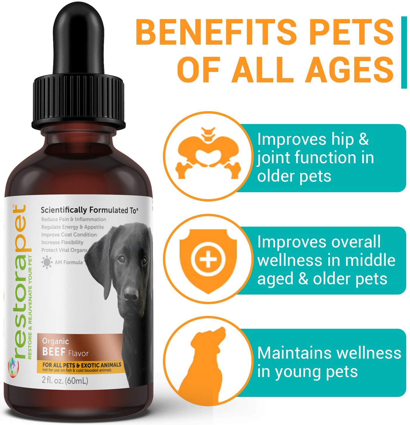 Frascos RestoraPet, multivitamínico líquido para perros y gatos, fácil de mezclar
