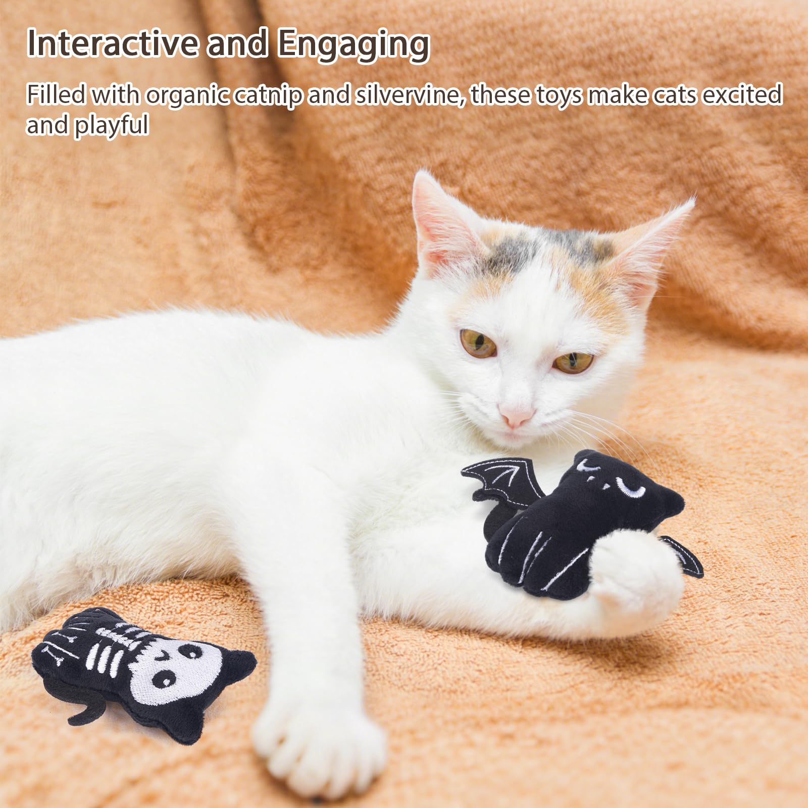 Juguetes de Retro Shaw con hierba gatera, regalo perfecto para gatitos curiosos