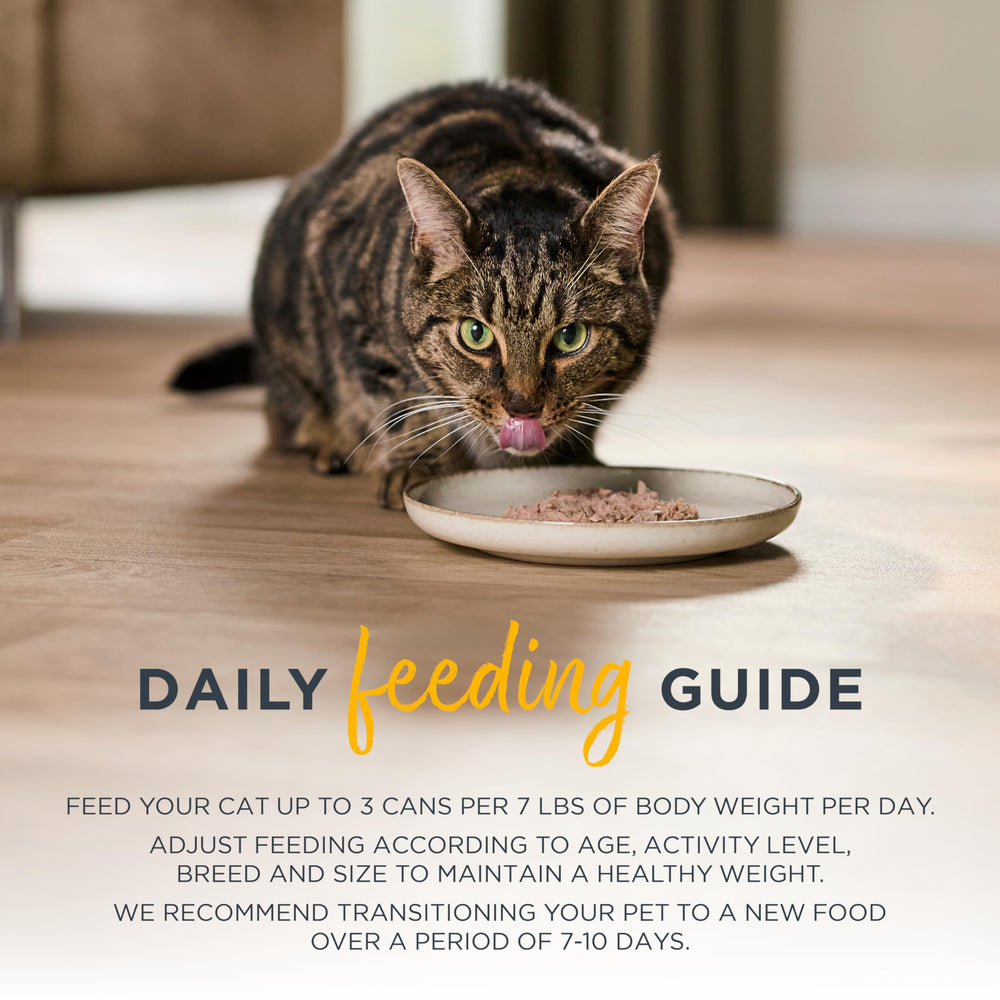 Reveal Entrées: sin colorantes ni artificiales, opción natural para tu gato.