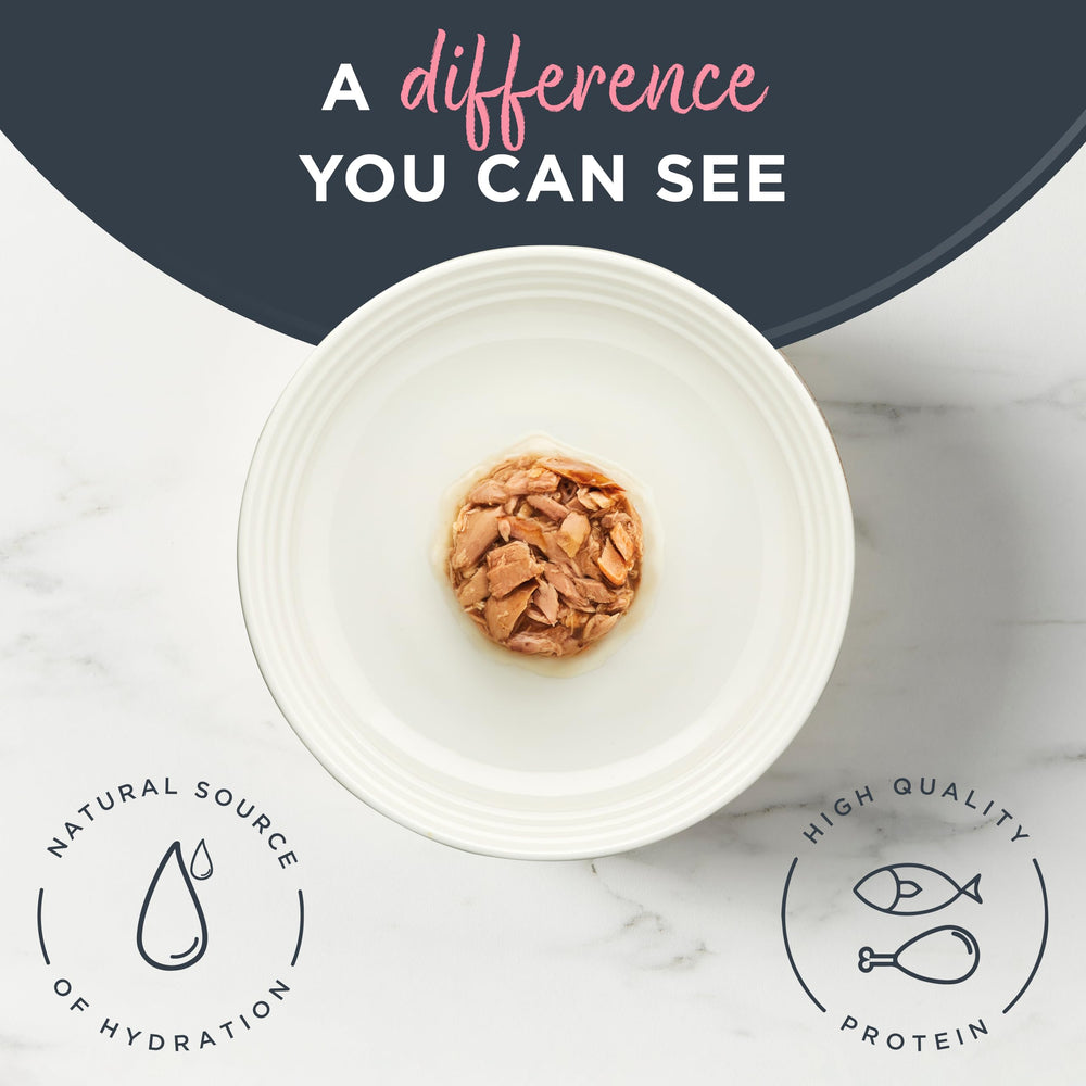 Reveal lata con proteína real como primer ingrediente, experiencia sabrosa.