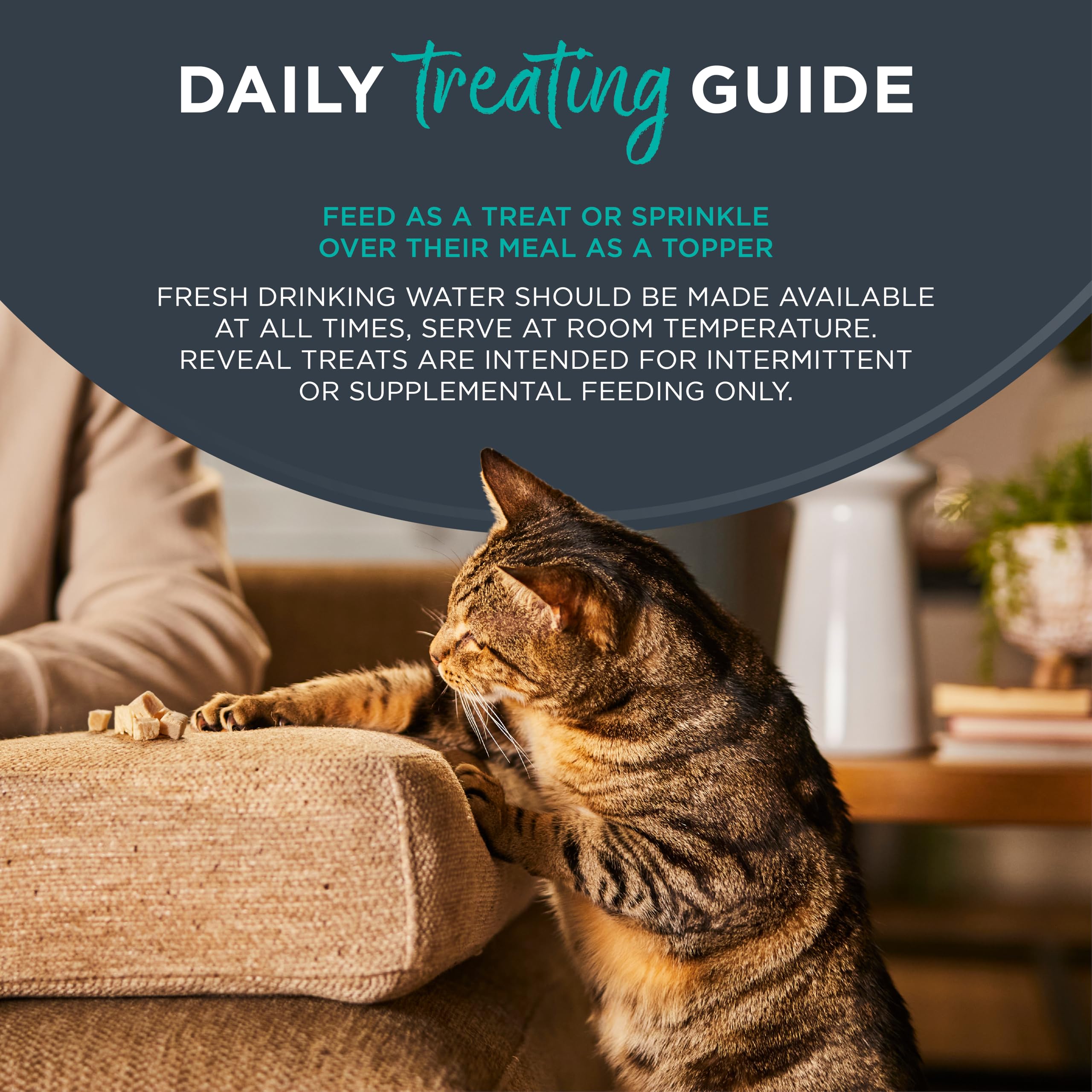Reveal porciones sin granos: alternativa natural para gatos sensibles.