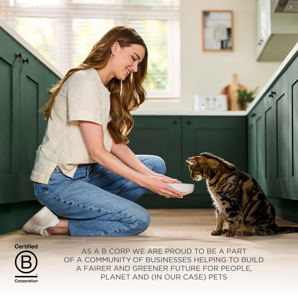 Presentación equilibrada de Reveal para la comida diaria del gato.