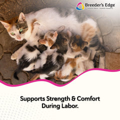 Breeder's Edge Cal Plus Gel aplicación en boca facilita dosis precisa durante el parto.