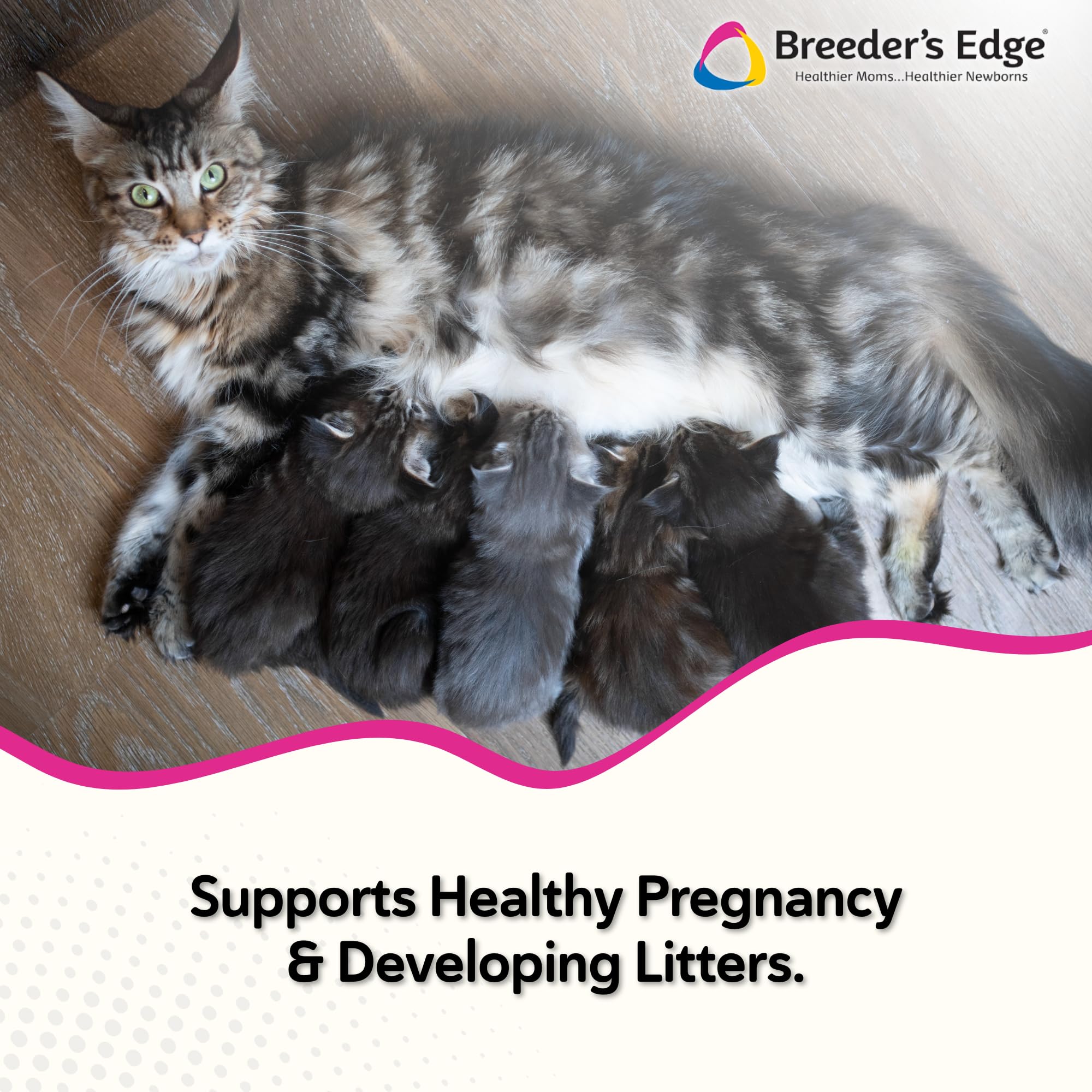 Breeder's Edge Oxy Mate de Revival, nutrientes clave para gestación canina y felina