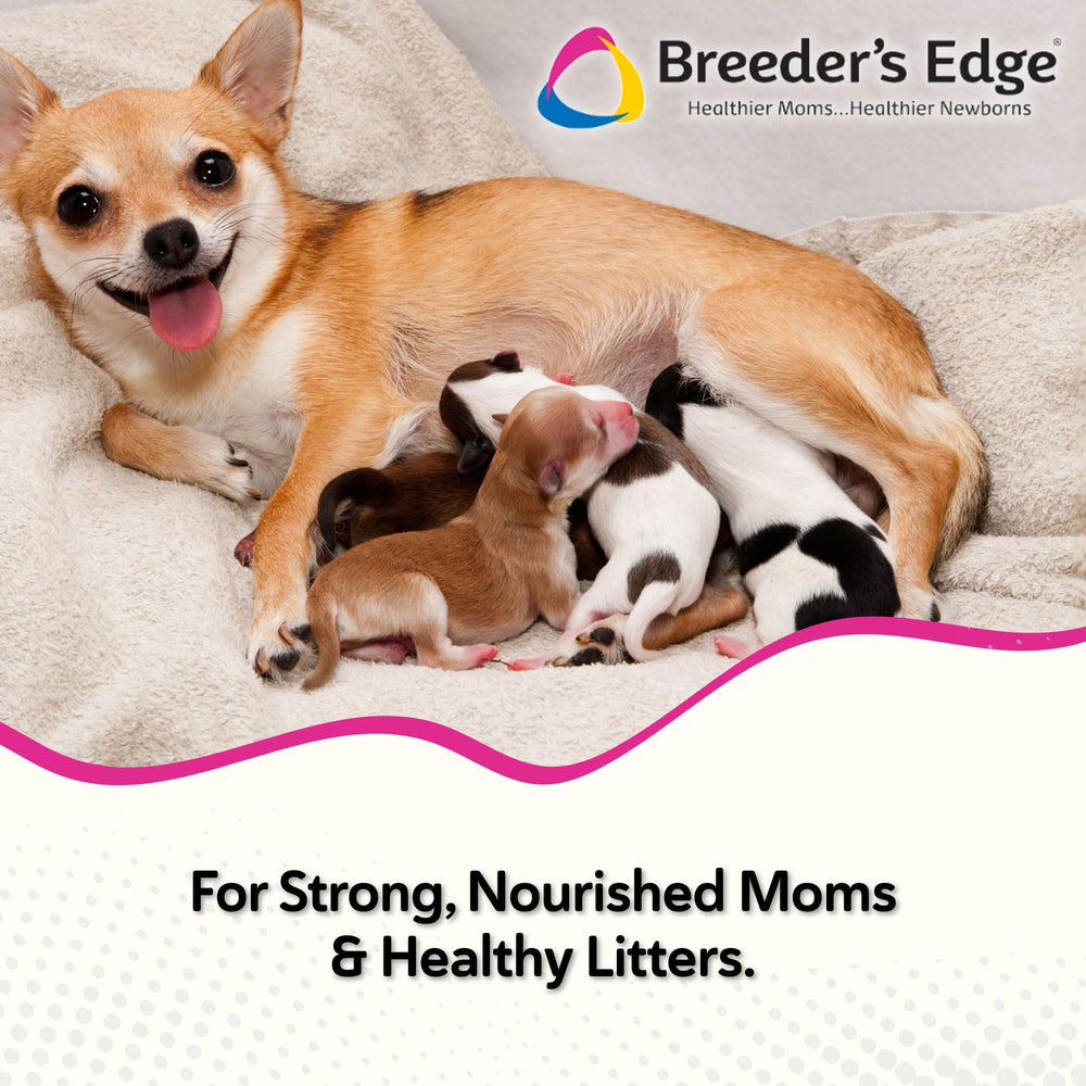 Gomitas suaves Breeder's Edge Oxy Momma para mamás lactantes.