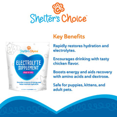 Revival Animal Health Shelter’s Choice contiene aminoácidos y dextosa para energía