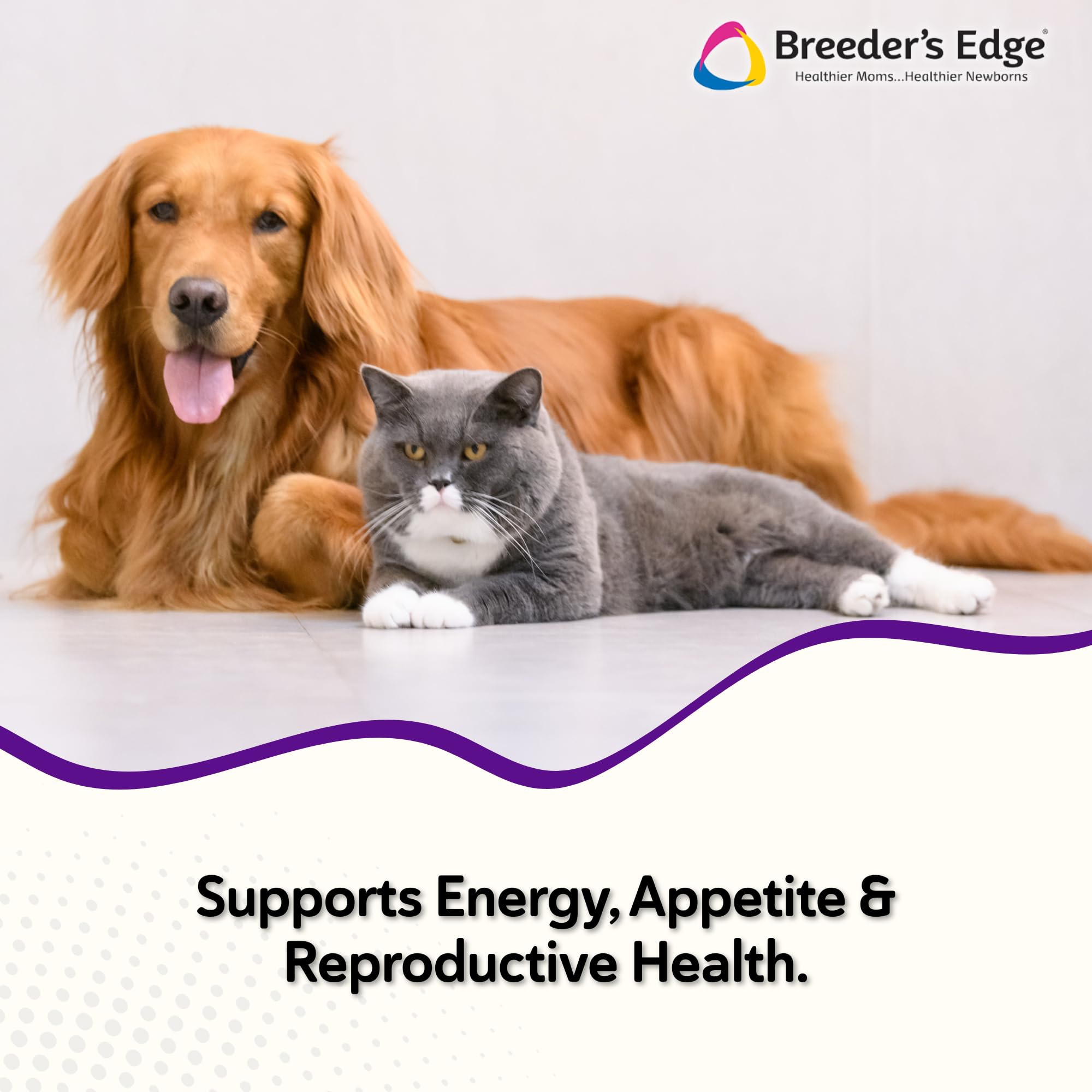 Frasco dispensador de Breeder’s Edge B Strong para medición precisa.