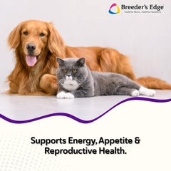 Frasco dispensador de Breeder’s Edge B Strong para medición precisa.