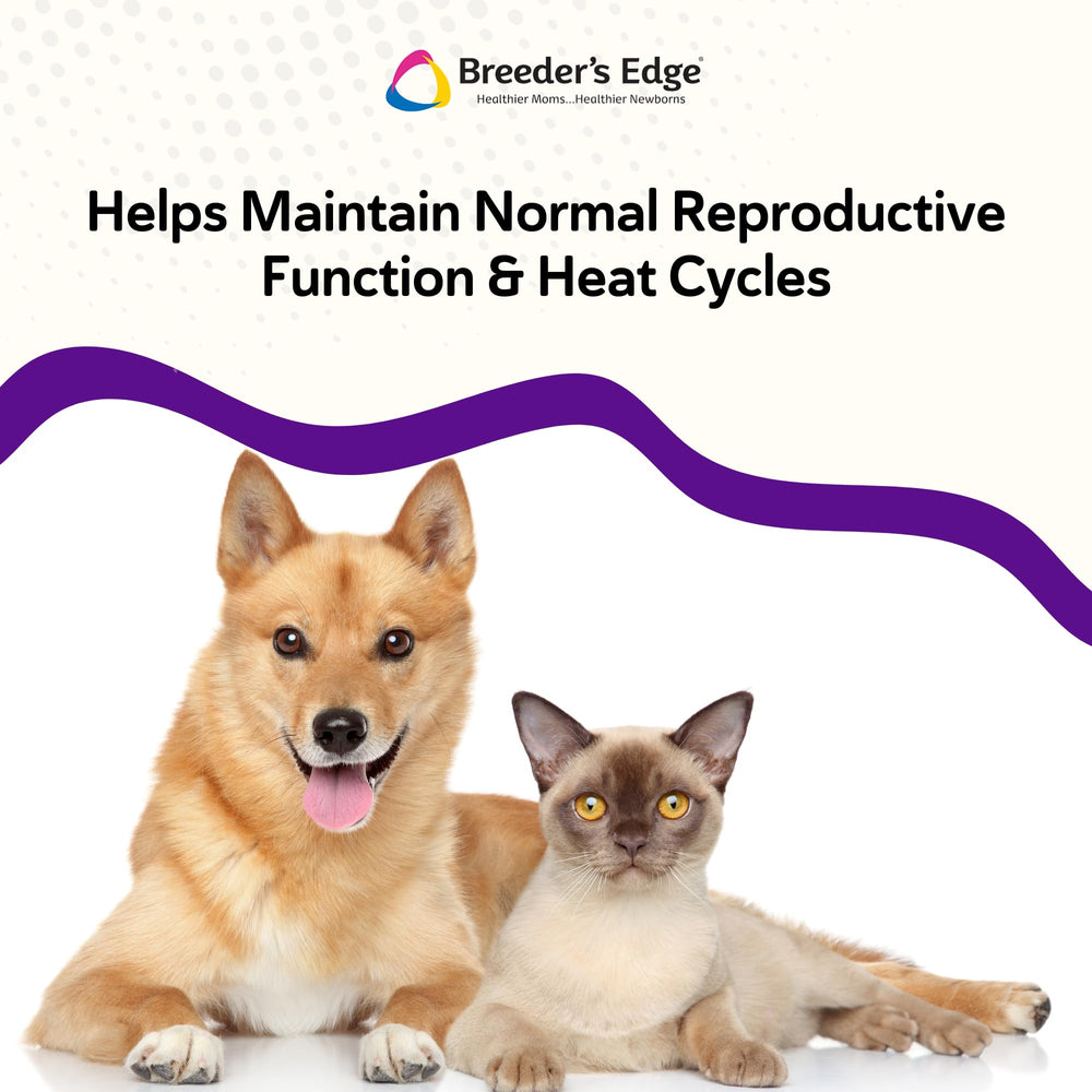Mezcla fácil con Breeder’s Edge B Strong en la comida.