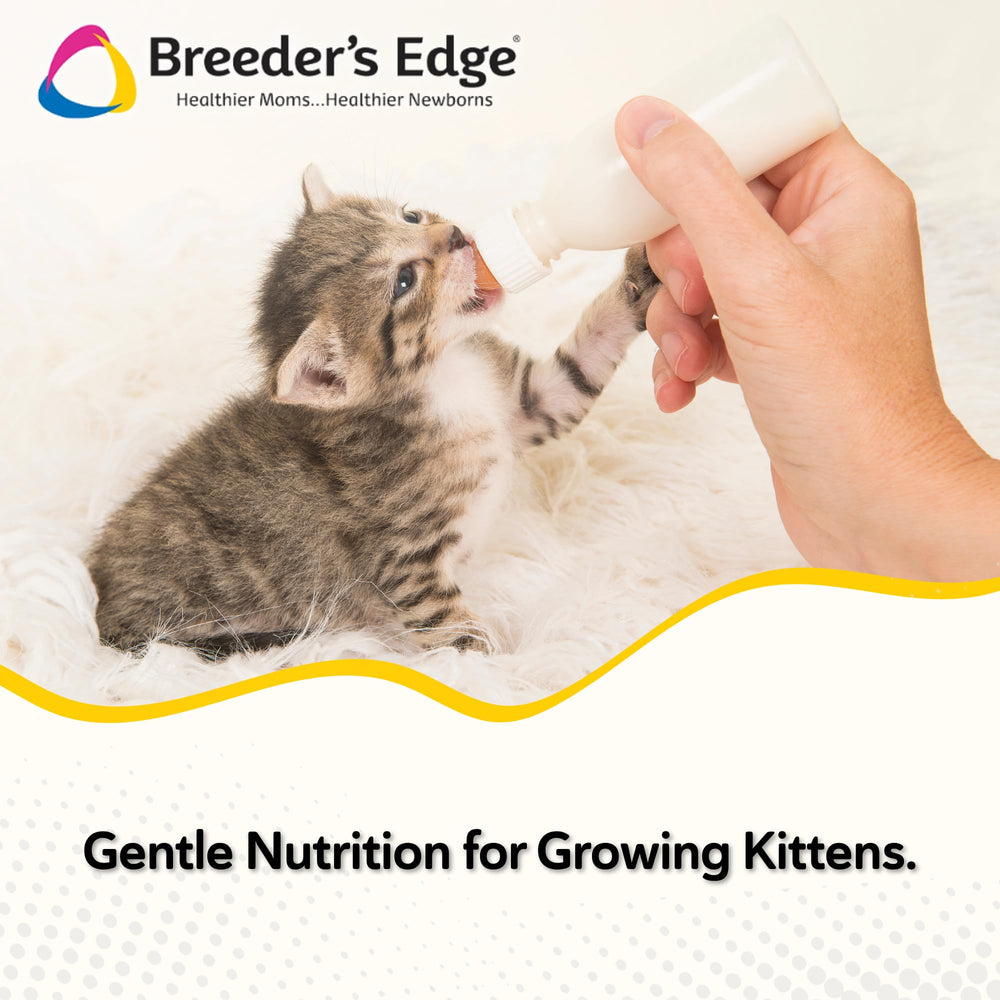Revival Breeder's Edge Foster Care Feline, mezcla nutritiva para crecimiento felino saludable.