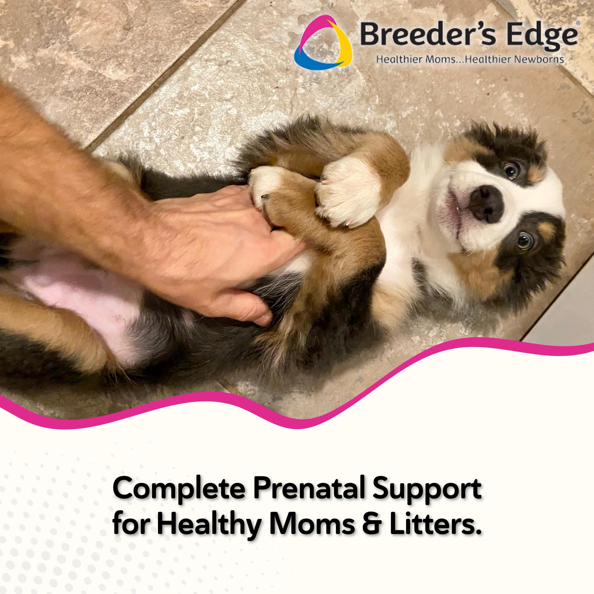 Revival Breeder's Edge Oxy Mate: gomitas prenatales sabrosas para perros y gatos