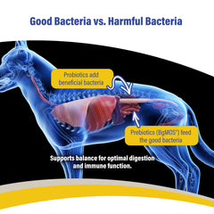 Sabor a pollo de Doc Roy’s GI Synbiotics Gel facilita la aceptación diaria.