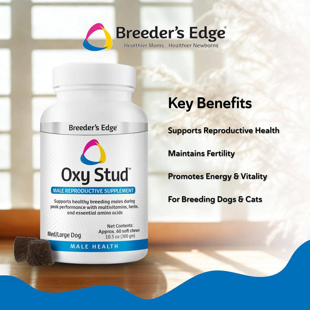 Breeder’s Edge Oxy Stud etiqueta informativa de beneficios para machos.