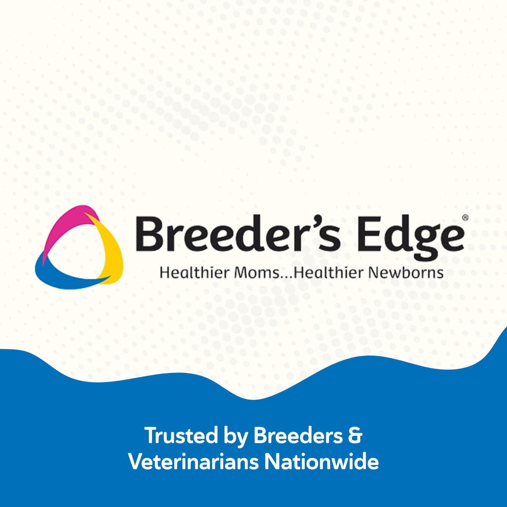 Breeder’s Edge Oxy Stud, ideal para perros medianos y grandes.