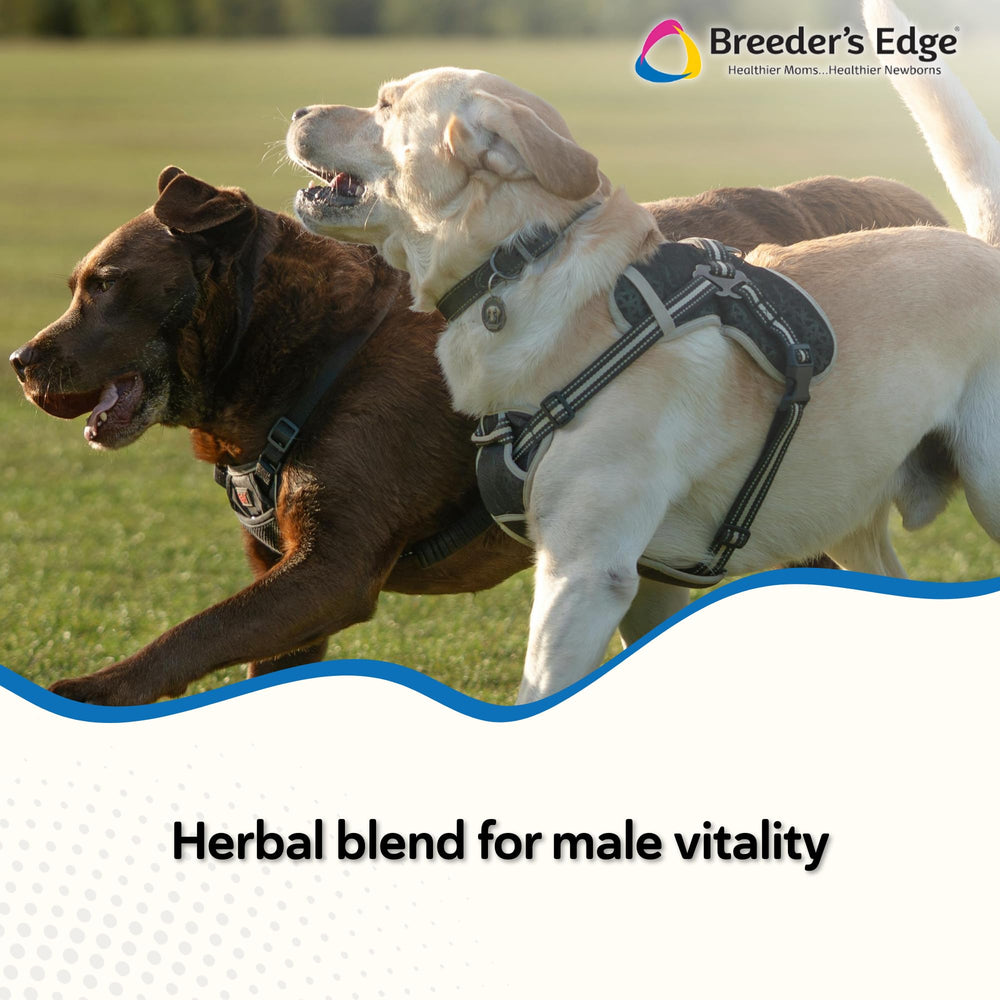 Breeder’s Edge Get Him Going: etiqueta clara con ingredientes naturales.