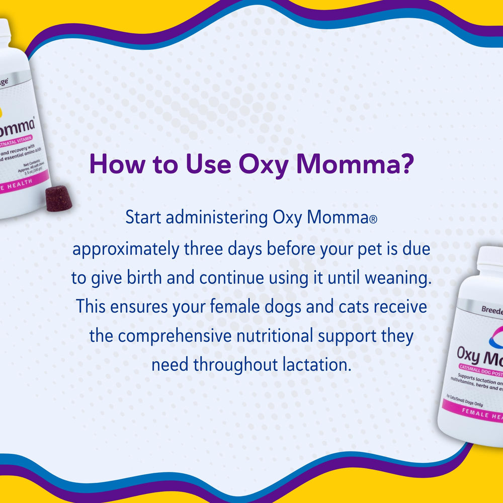 Perros y gatos pequeños se benefician de Oxy Momma Soft Chews durante lactancia.