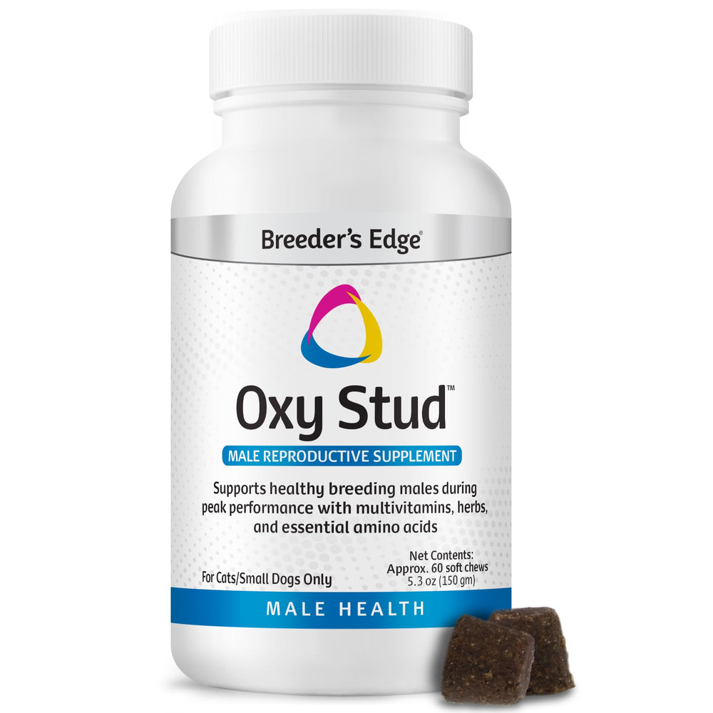 Revival Oxy Stud: envase del suplemento para perros y gatos.