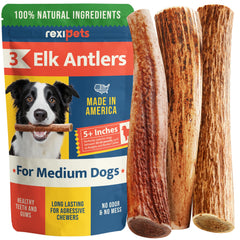 REXIPETS astas de alce para perros — paquete de 3, masticación duradera