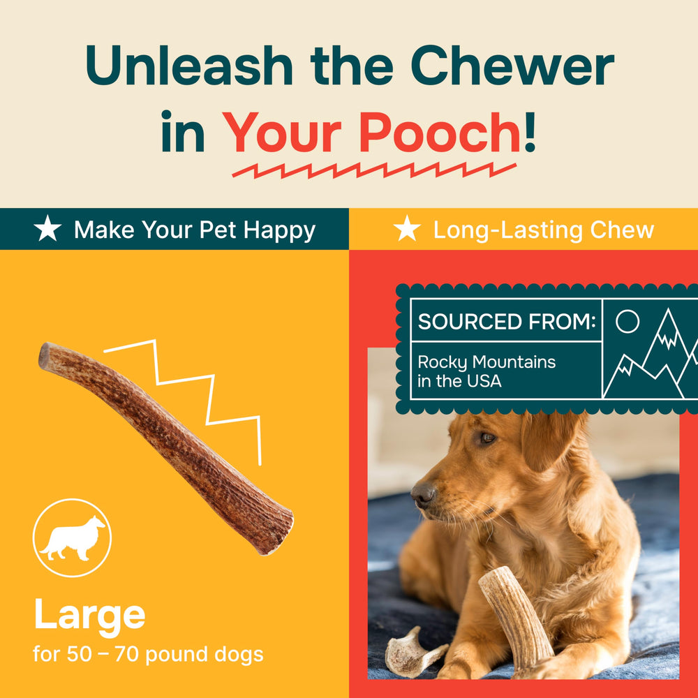 REXIPETS hecho en Estados Unidos, control de calidad y origen.