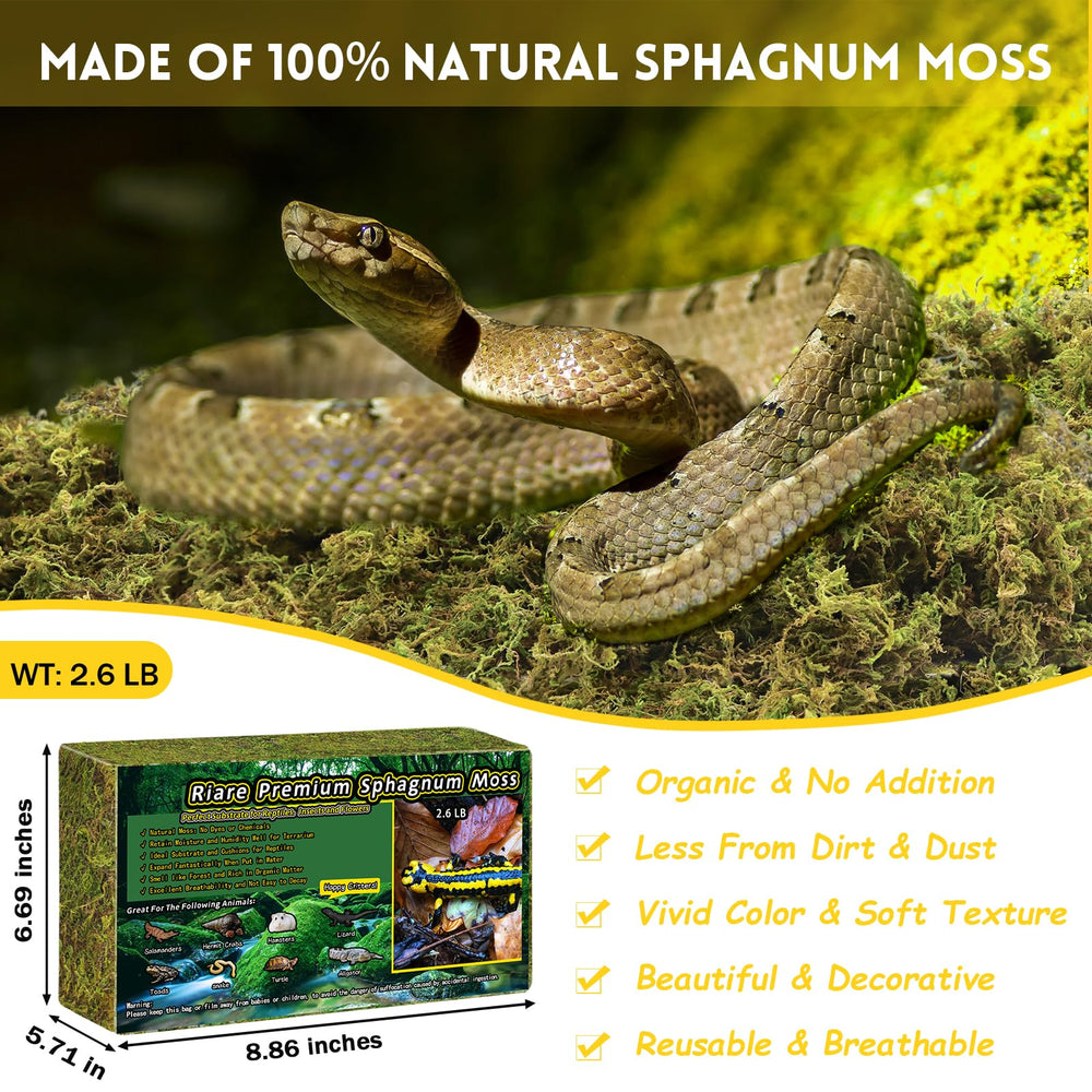 Riare musgo sphagnum, absorcion de humedad para terrario.