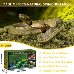Riare musgo sphagnum, absorcion de humedad para terrario.