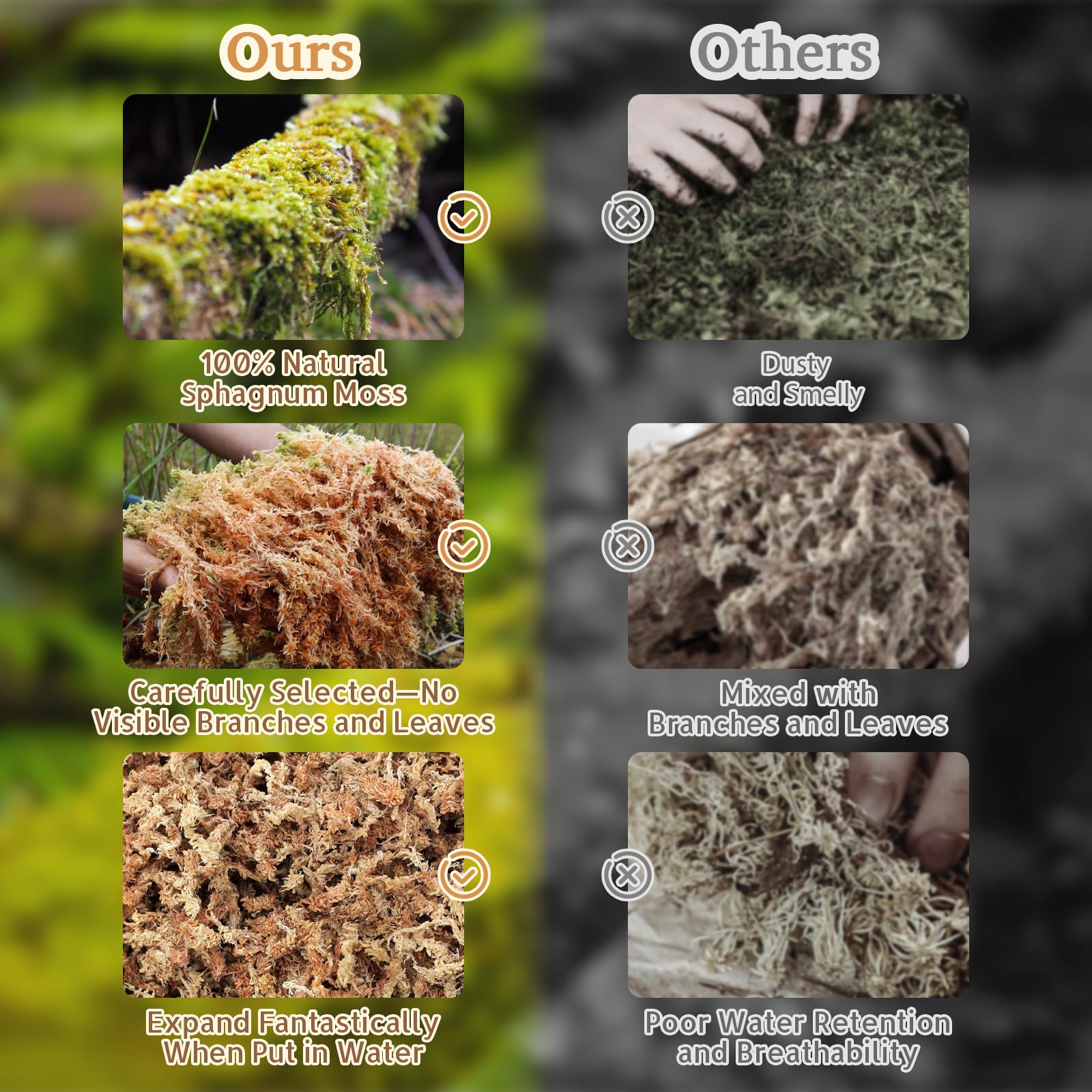 Riare Musgo Sphagnum, aroma terroso que mejora el ambiente.