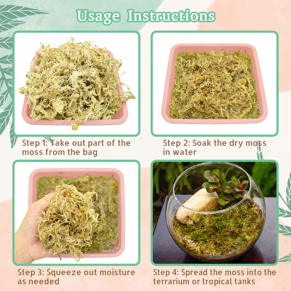 Riare Musgo Sphagnum para cama en terrarios del bosque.