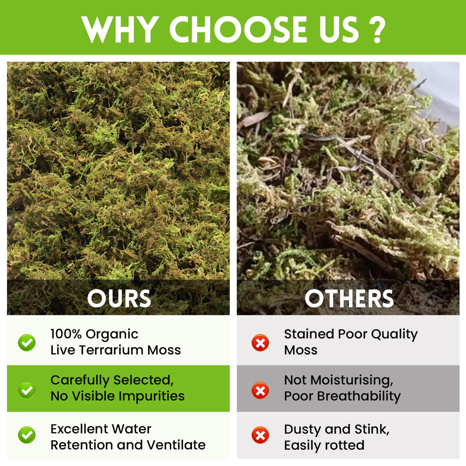 Riare musgo sphagnum de uso amplio, sirve como sustrato o medio de plantación.