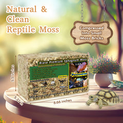 Riare musgo sphagnum natural, textura esponjosa para sustrato estable