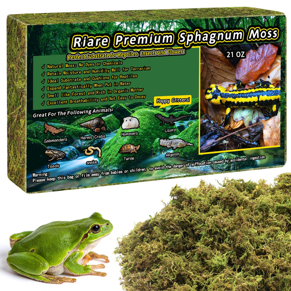 Riare musgo sphagnum natural en terrario para reptiles.