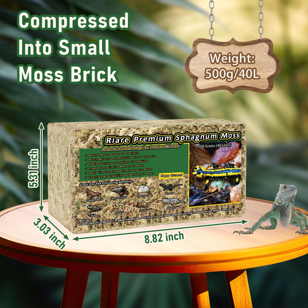 Riare musgo sphagnum premium, terrario hidratado, expansión rápida para humedad.