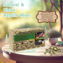 Riare Musgo Sphagnum premium 14oz, textura esponjosa que facilita ajuste de sustrato.