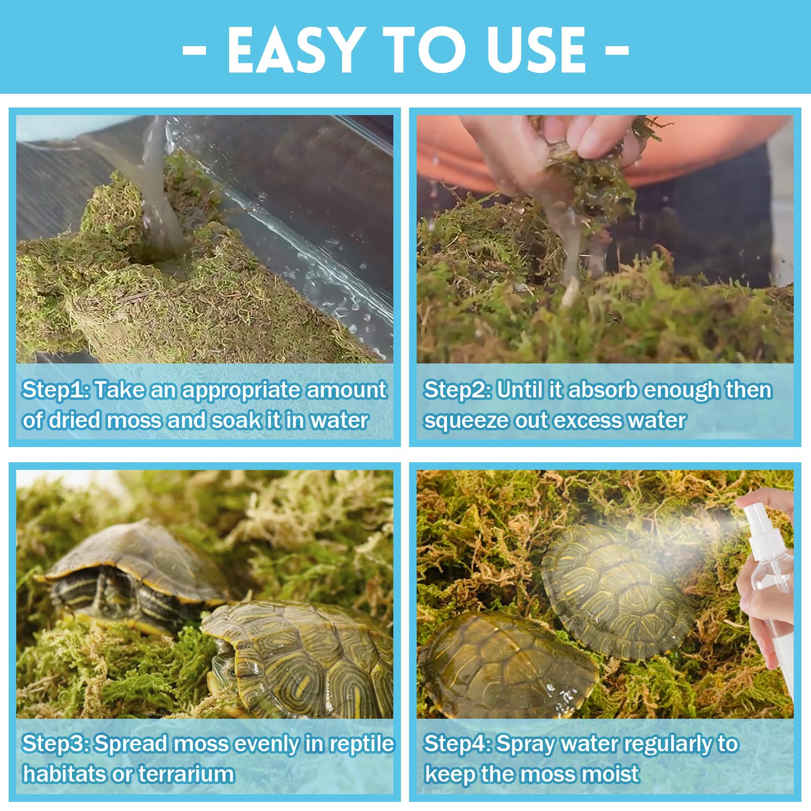 RiAre musgo sphagnum absorbe olores y mantiene limpio el terrario.