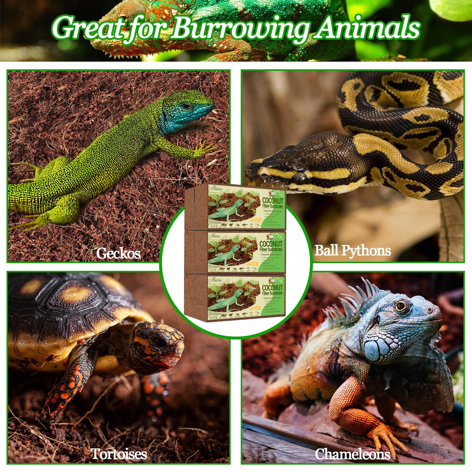 Riare sustrato universal de coco para reptiles y anfibios.