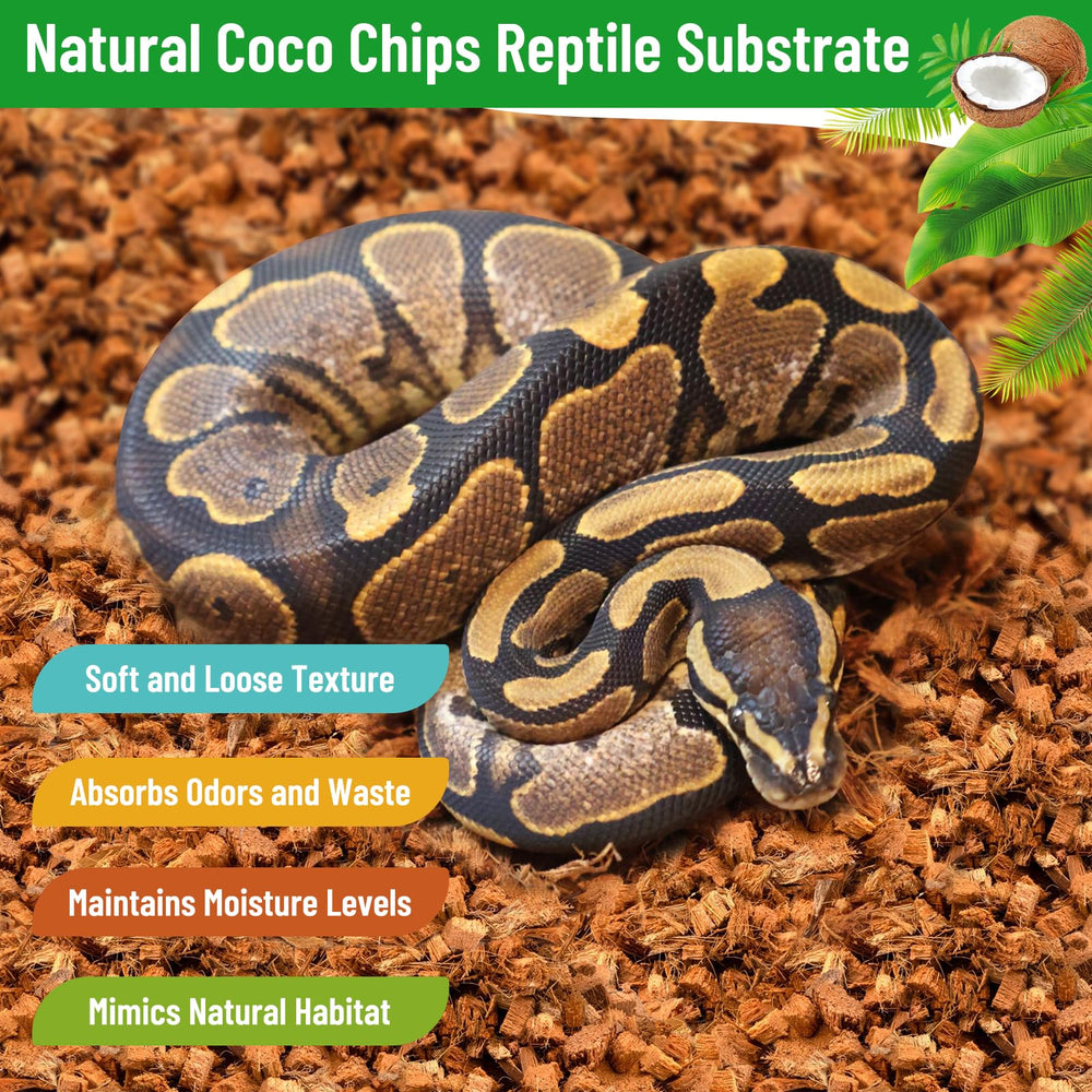 Riare sustrato coco chip sin polvo seguro para pieles sensibles
