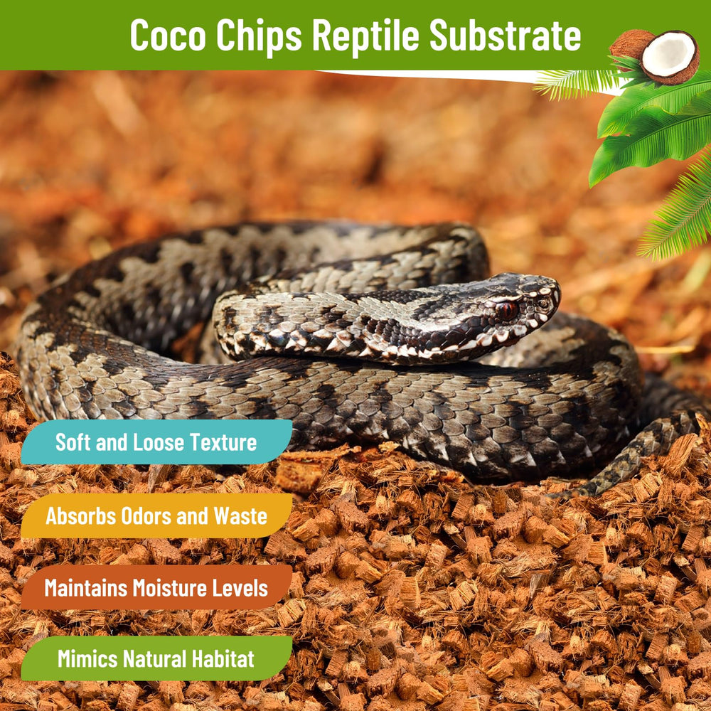 Riare sustrato coco para serpientes: sustrato cómodo que imita el hábitat natural.