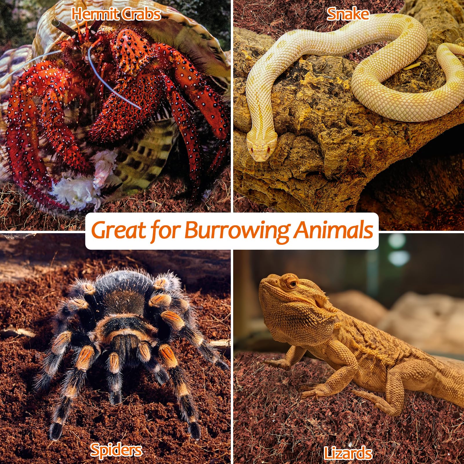 Riare: sustrato natural para reptiles, perfecto para escondites y excavación.