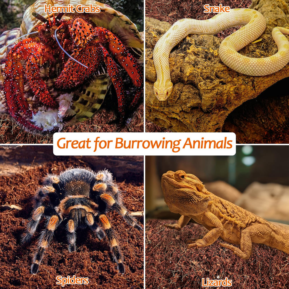 Riare: sustrato natural para reptiles, perfecto para escondites y excavación.