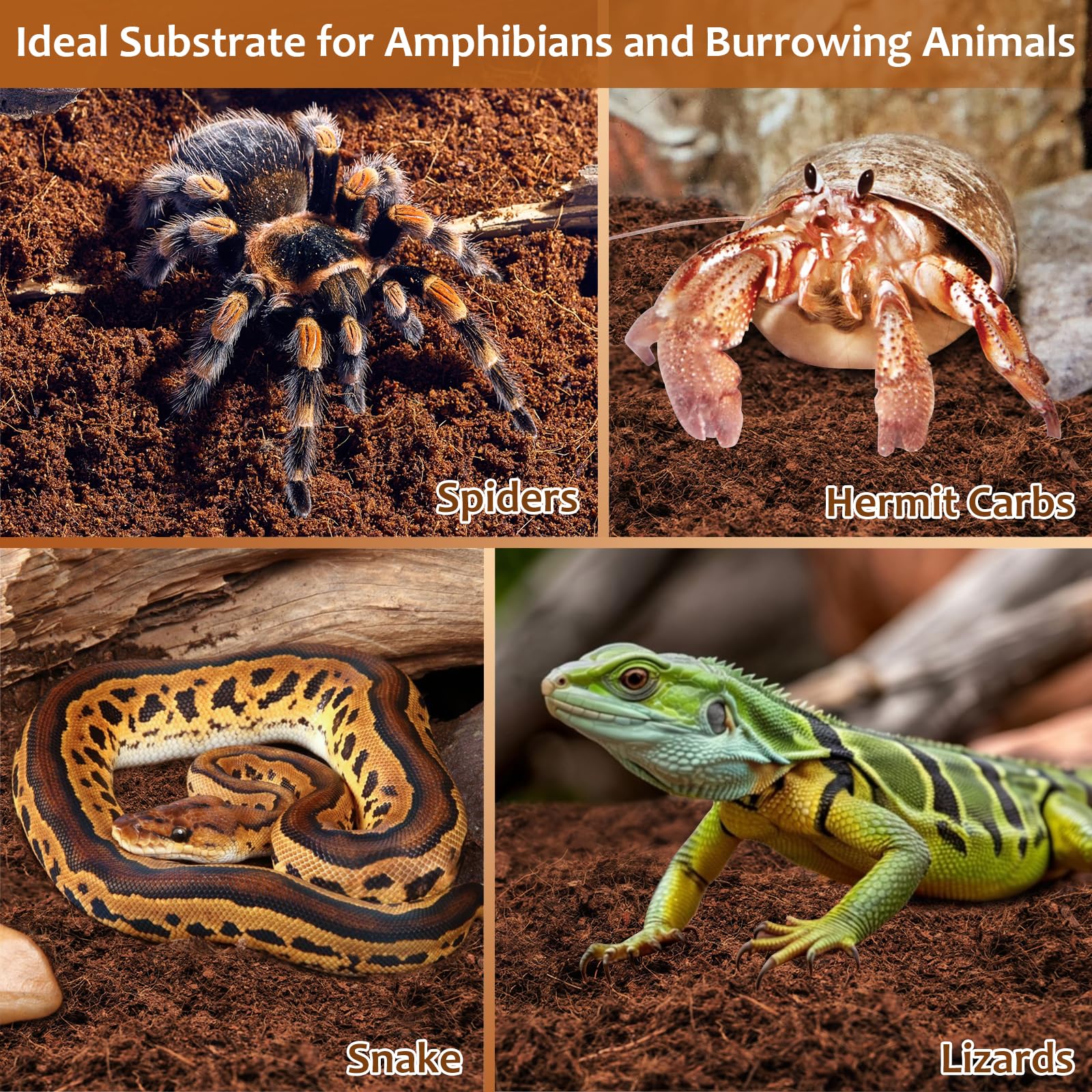 Riare sustrato natural para reptiles y anfibios, compatible con terrarios variados.