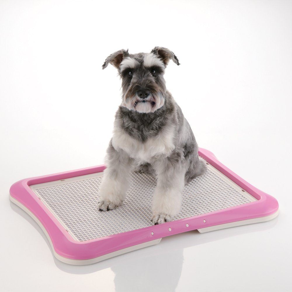 Richell Paw Trax con patas antideslizantes, protege el suelo durante el aprendizaje.