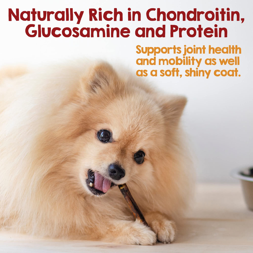 Riley's cuidado dental: masticables que apoyan la higiene bucal.