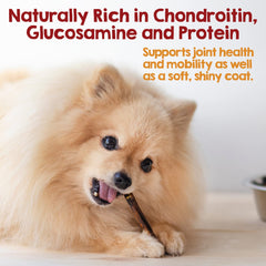 Riley's cuidado dental: masticables que apoyan la higiene bucal.