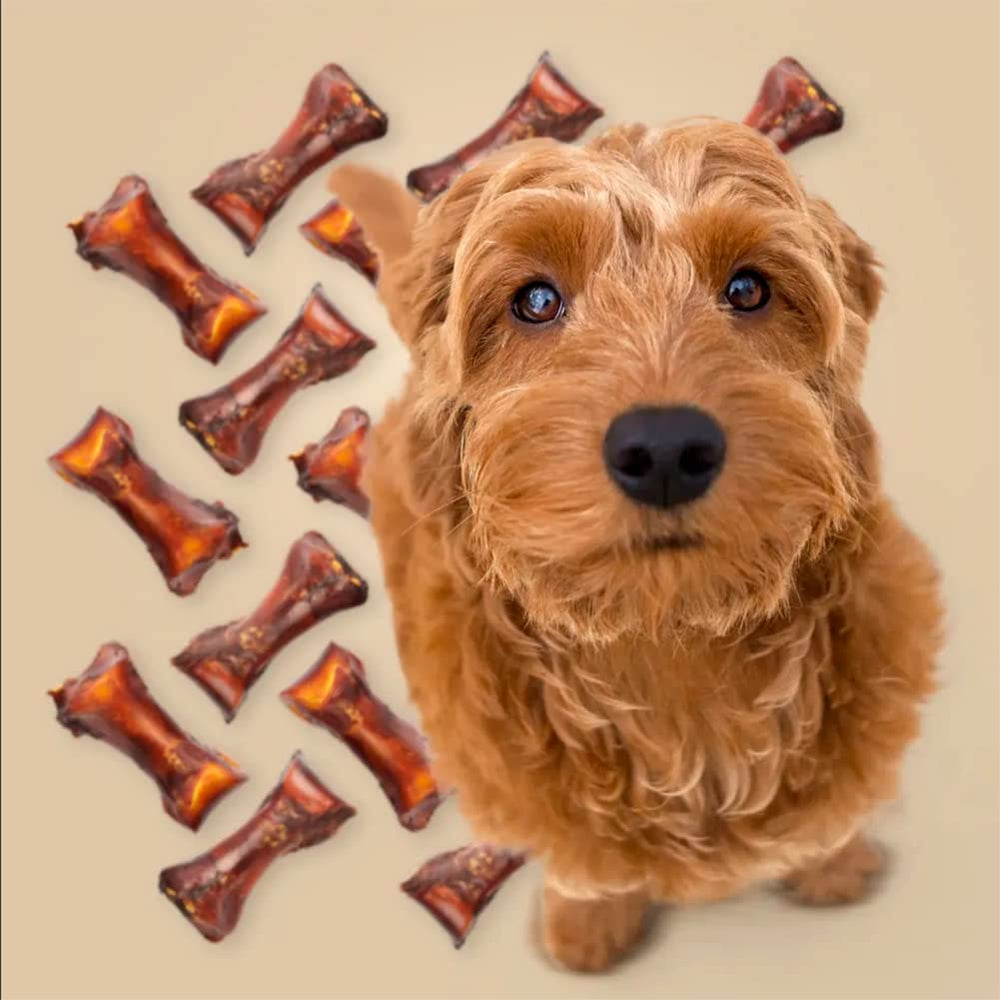 ROAM perro masticando hueso de avestruz, experiencia de juego