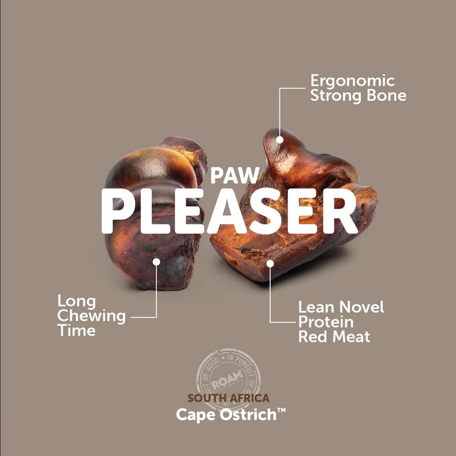 ROAM golosinas para perros pequeños en acción, sabor natural y seguro.